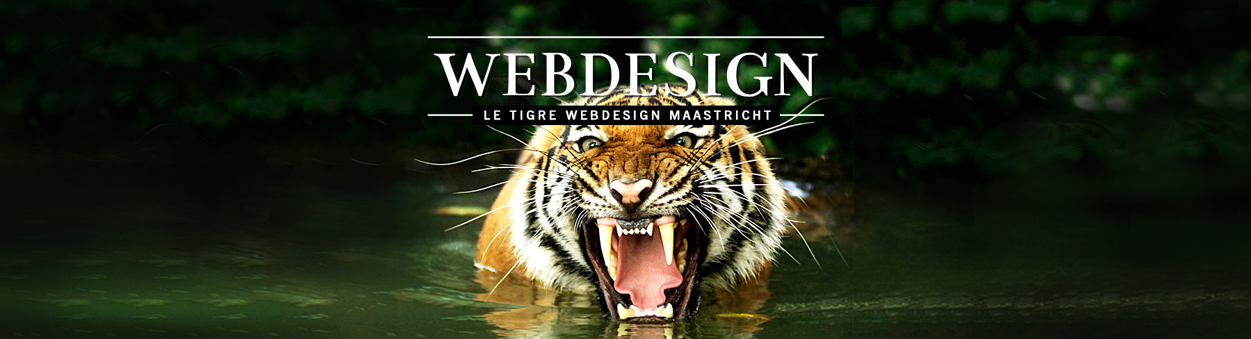 Webdesign Service - Website maken - background liggend tnt